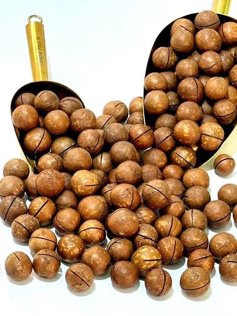 تصویر 2 از فندق تازه درجه یک با عطر و طعم اصیل